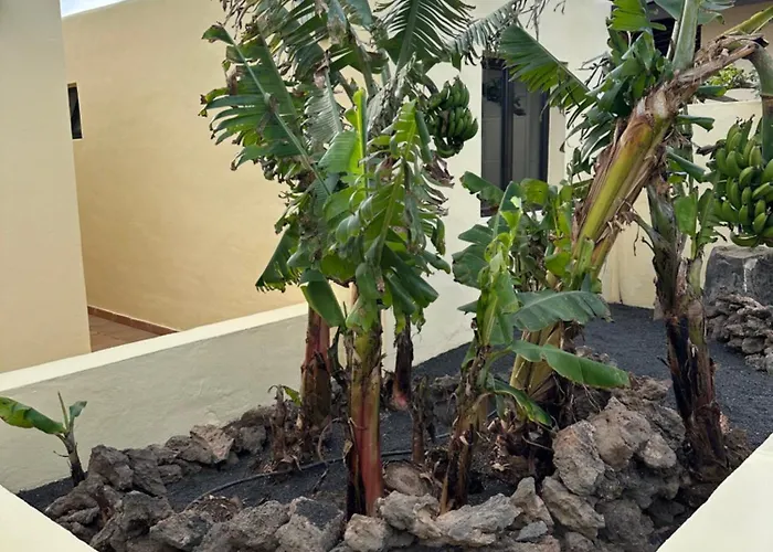 Villa Luxury Canarian With Large Pool And Teguise (Lanzarote)