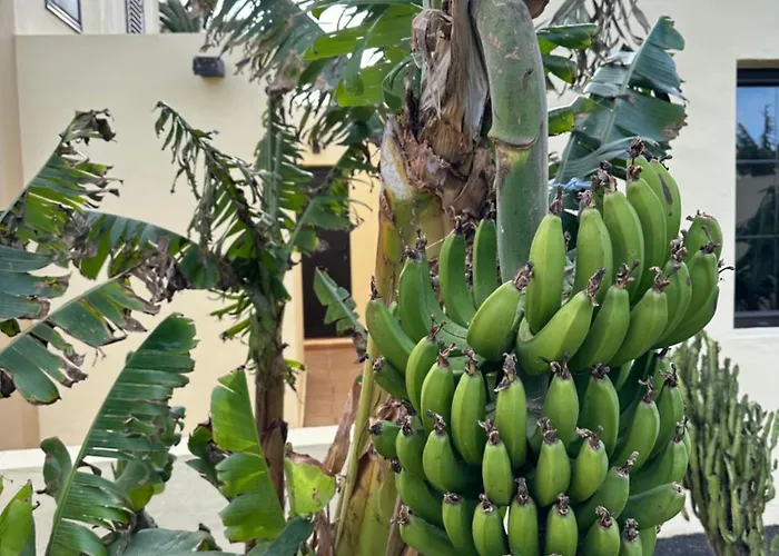 Luxury Canarian With Large Pool And Villa *