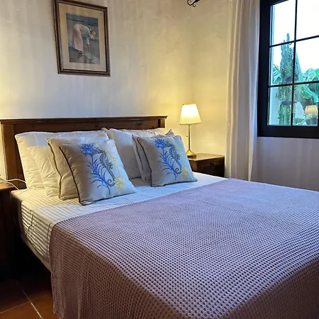 别墅 Luxury Canarian With Large Pool And