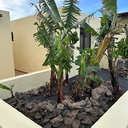 Villa Luxury Canarian With Large Pool And Teguise (Lanzarote)