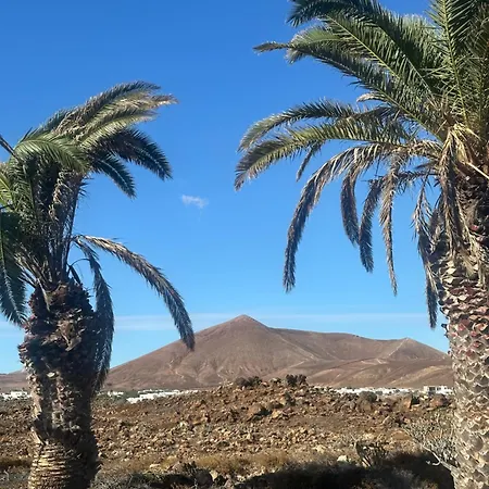 别墅 Luxury Canarian With Large Pool And