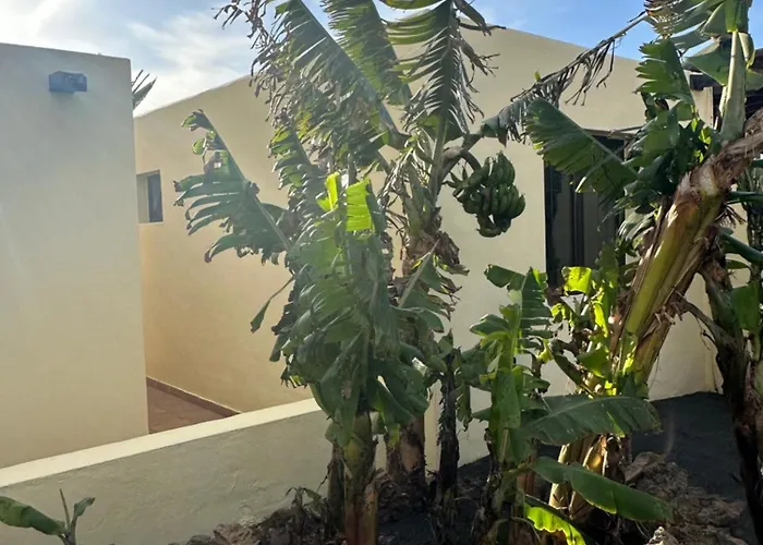 Luxury Canarian With Large Pool And Villa